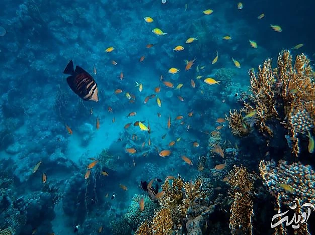 جملاتی درباره خدا خدا